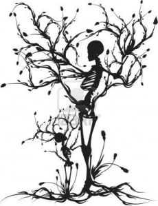 skeleton tree abortion